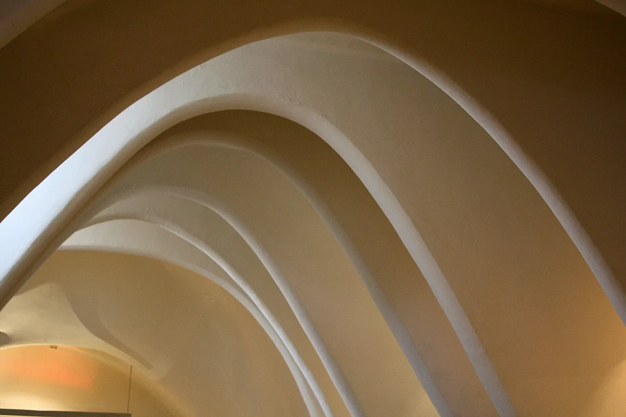 The white parabolic arches of the attic of Casa Batlló, a row of smooth catenary vaults like the ribcage of an animal